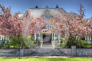Apple Blossoms and Mansion