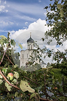 Apple branch with apples on the background of the Church of the Intercession on the Nerl Russia