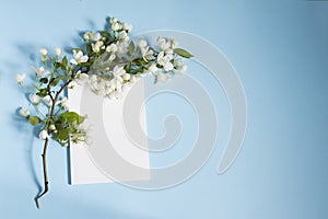 An apple branch is around a white rectangular notebook on a blue background