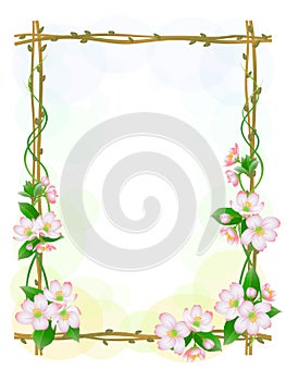 Apple branch flowering frame