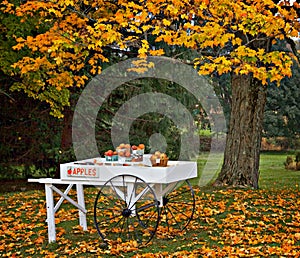 apple cart, fall