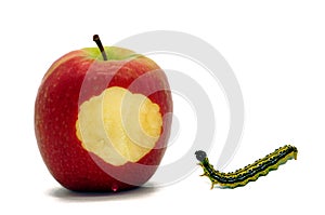 Apple and caterpillar released on white background