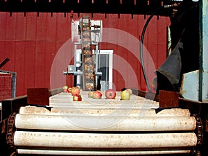 Apple Cider Conveyer Belt