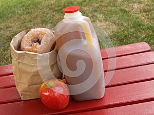 Apple cider and donuts photo