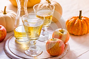 Apple cider with fresh apples and pumpkins for Thanksgiving