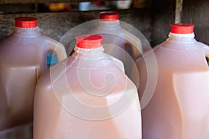 Apple cider in gallon jugs