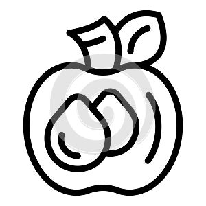 Apple cider ingredient icon outline vector. Juicy pome fruit