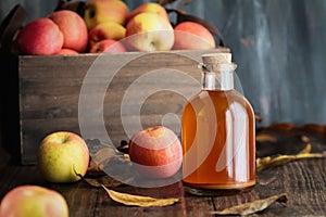 Apple Cider Vinegar with Fresh Apples photo