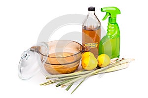 Apple cider vinegar, lemon, lemongrass effective insect repelle