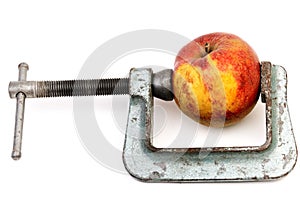 Apple in clamp