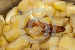 Apple Compote