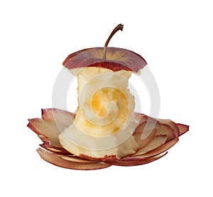 Apple core and peels