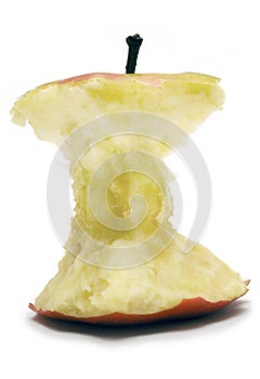 Apple Core (Side View)