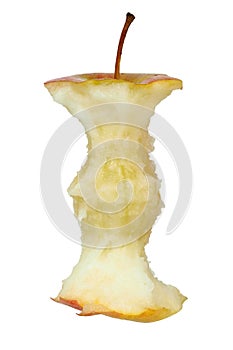 Apple core on white