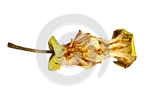 Apple core on a white background