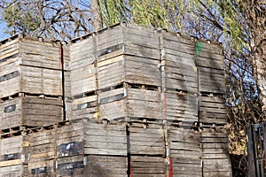 Apple Crates Stacked High