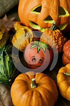 Apple disguised as a pumpkin between different pumpkins photo