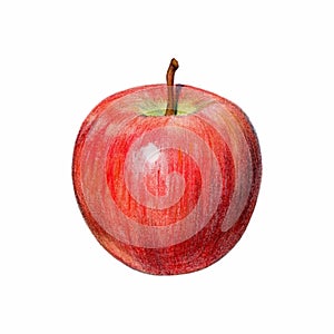 apple drawn with colored pencils.