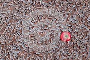 An apple on a dried and cracked desert soil. Food insecurity, famine, desertification, hunger and drought concept.