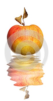 Apple with dried leaf reflection in water