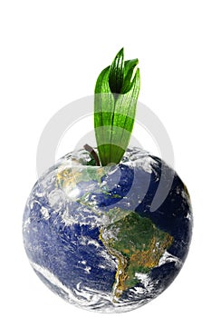 Apple Earth isolated on white