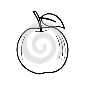 APPLE Editable and Resizeable Vector Icon photo
