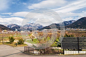 Apple farm with central alps, Yamanouchi