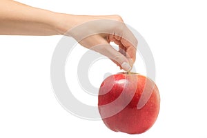 Apple female hand