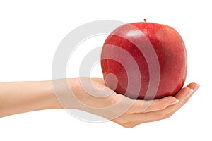 Apple female hand