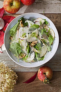 Apple and fennel salad with walnuts and greens