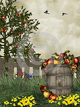 Apple fields