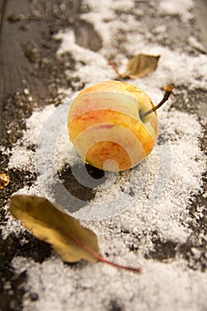 Apple on the first October snow