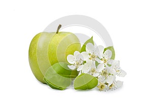 Apple with flower closeup