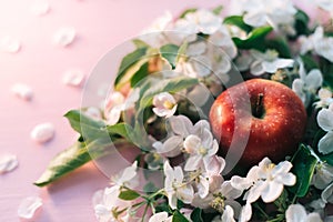 Apple flowers on a pink wooden background