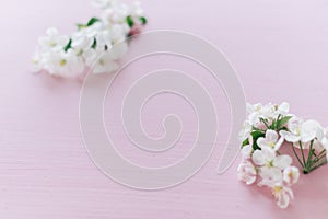 Apple flowers on a pink wooden background