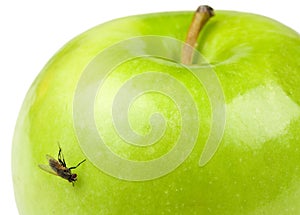 Apple and Fly