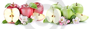 Apple fruit apples fruits red green sliced slice half isolated o