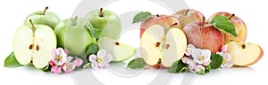 Apple fruit apples fruits sliced slice half isolated on white