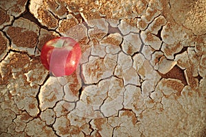 An apple fruit on a dry arid desert soil. Global water crisis, hunger, food security and drought concept.