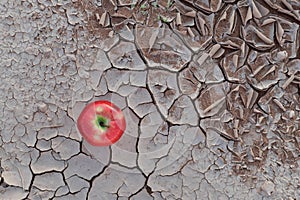 An apple fruit on a dry and cracked desert soil. Food insecurity, drought and climate change concept