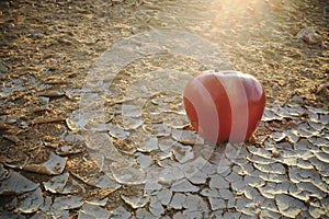 An apple fruit on a dry cracked desert soil. Global water crisis, hunger, food security and drought concept.