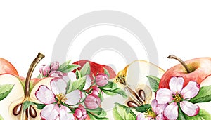 Apple fruit and flower seamless border. Watercolor floral illustration. Red apple, half cutted and spring tender pink