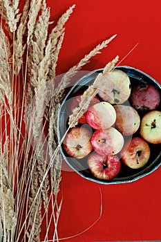 fruit, apples, pears, lemon on a wooden background, wildflowers, a bouquet of wildflowers, autumn food, yellow fruits, sweet yello