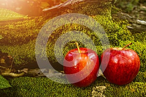 Apple Fruit, Fresh Fruit, Healthy Food, Moss Background