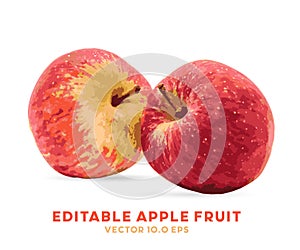 Apple Fruit illustration for farm market menu. Healthy food design