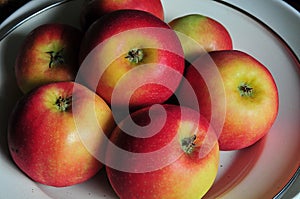 Apple fruit in plate in Kastrup Copenhagen Denmark