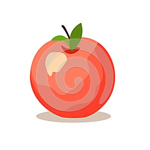 The apple fruit vector illustration isolated on white background, apel icon in flat style