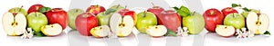 Apple fruits collection banner red and green apples fruit isolated on white in a row
