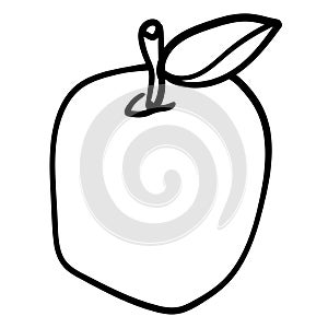 Apple Fruits doodle Coloring page adult and kids. Vector illustration. Vector