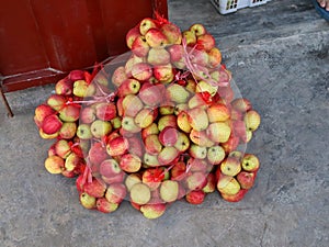 apple fruits in netting bags on display for sale